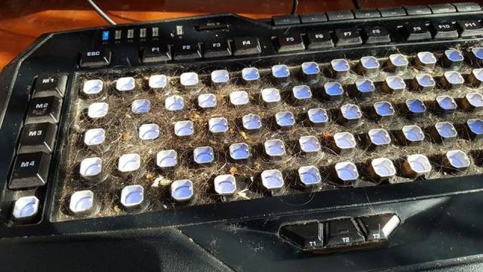 People Who Somehow Managed To Completely Wreck Their Electronics (46 pics)