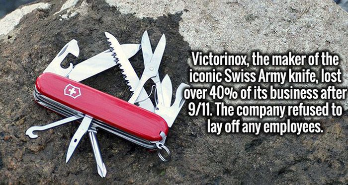 A Fresh Batch Of Facts That Will Obliterate Your Boredom (20 pics)