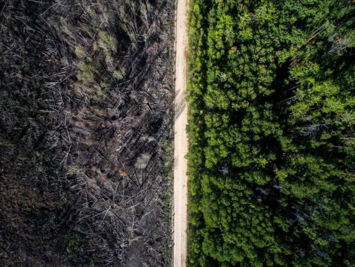Phenomenal Photos That Weren’t Edited Or Photoshopped (68 pics)