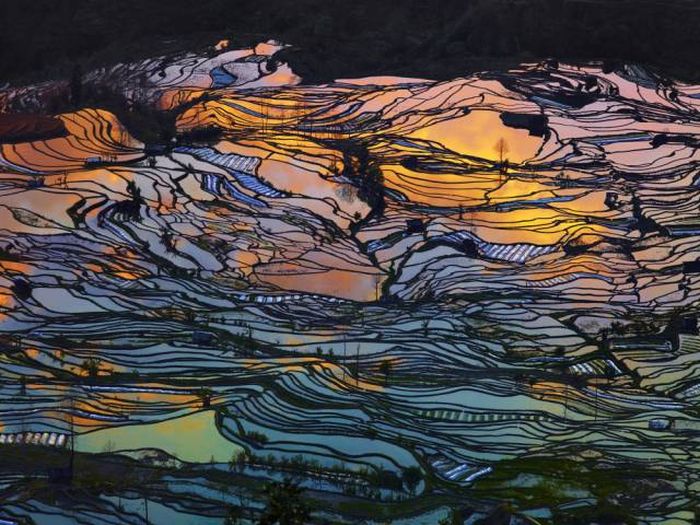 Phenomenal Photos That Weren’t Edited Or Photoshopped (68 pics)