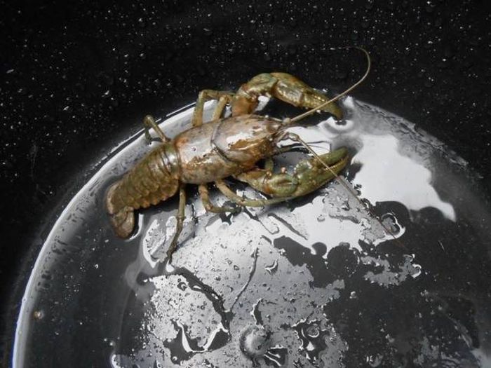 Phenomenal Photos That Weren’t Edited Or Photoshopped (68 pics)