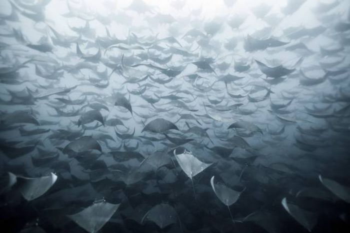 Phenomenal Photos That Weren’t Edited Or Photoshopped (68 pics)