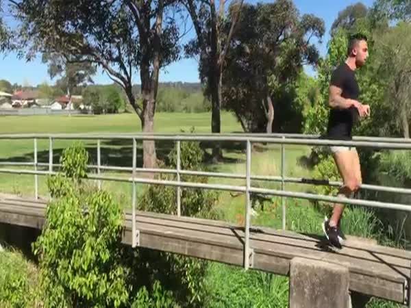 When Your Pet Kangaroo Is Your Best Friend