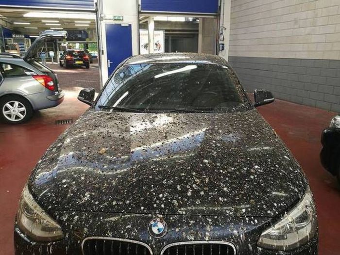 Acid Picdump (103 pics)