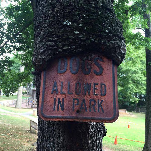 Acid Picdump (103 pics)