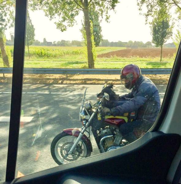 Acid Picdump (103 pics)