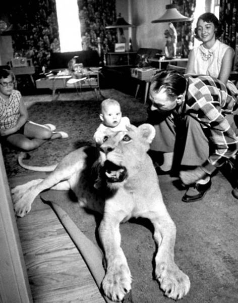 Acid Picdump (103 pics)