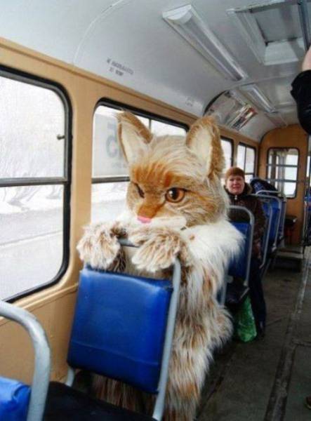 Acid Picdump (103 pics)
