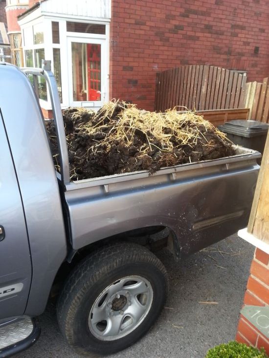 Couple Returns Home From Honeymoon To Find Their House Trashed (4 pics)