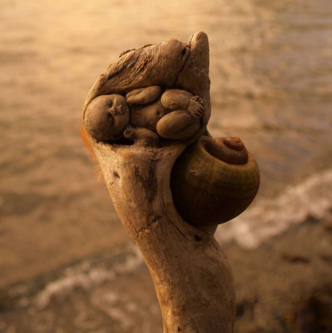 Driftwood Sculptures By Debra Bernier That Will Take Your Breath Away (30 pics)