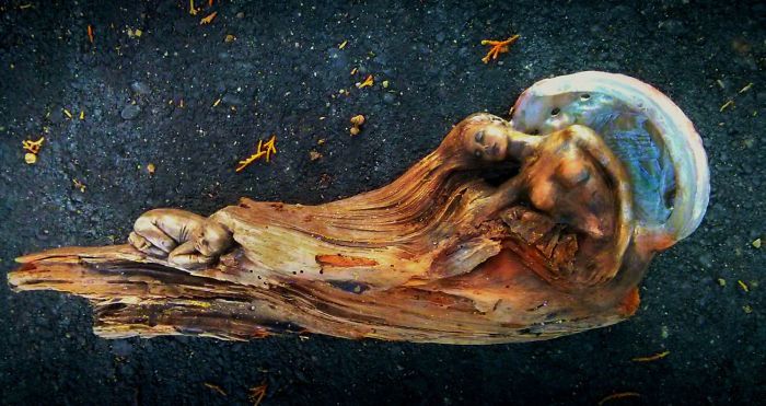 Driftwood Sculptures By Debra Bernier That Will Take Your Breath Away (30 pics)