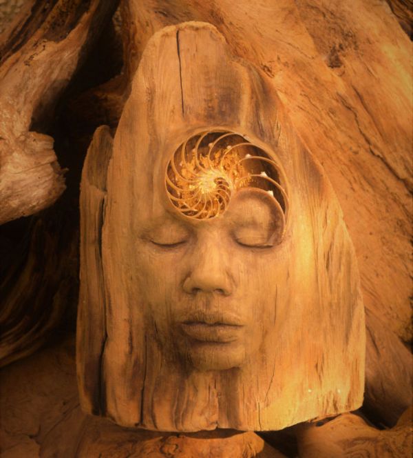 Driftwood Sculptures By Debra Bernier That Will Take Your Breath Away (30 pics)