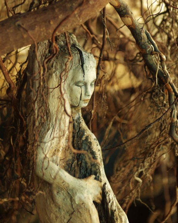 Driftwood Sculptures By Debra Bernier That Will Take Your Breath Away (30 pics)