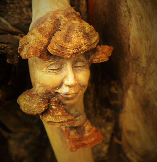 Driftwood Sculptures By Debra Bernier That Will Take Your Breath Away (30 pics)