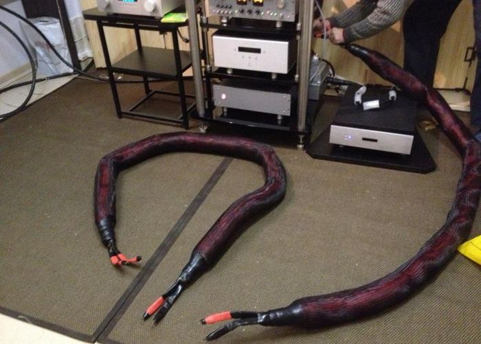 Audiophiles And Their Crazy Collections (18 pics)