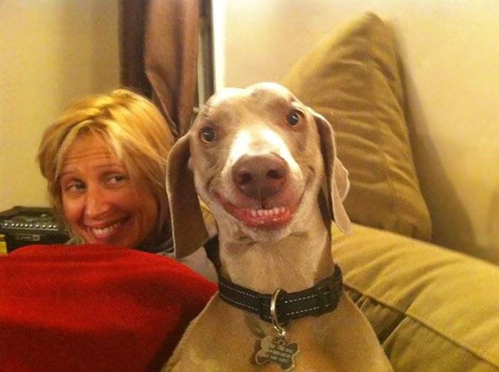 Non-Photogenic Animals That Will Crack You Up (40 pics)