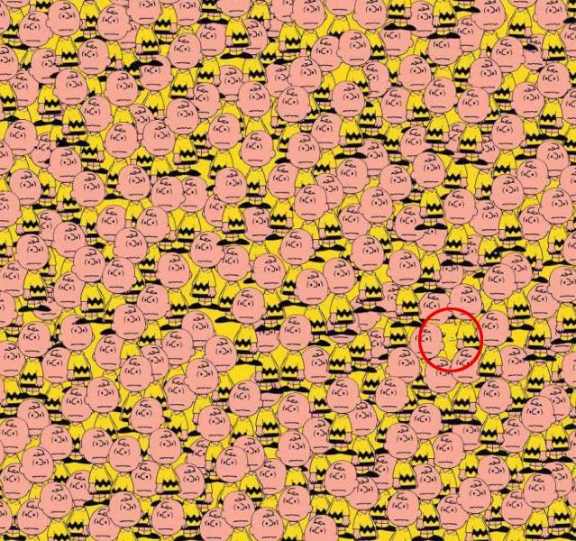 See If You Can Spot The Hidden Pikachu In This Picture (2 pics)