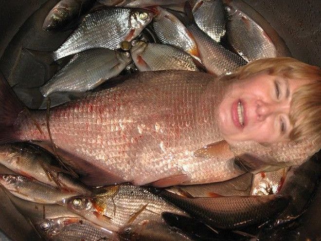 Russian Photoshop Attempts That Are Both Amusing And Awkward (24 pics)