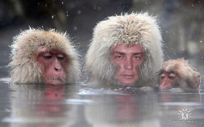 Russian Photoshop Attempts That Are Both Amusing And Awkward (24 pics)