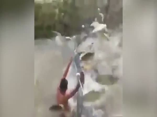 Fishermen Knocked Over By A Rampaging School Of Fish