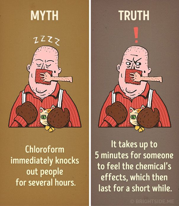 Hollywood's Most Common Movie Myths Debunked (12 pics)