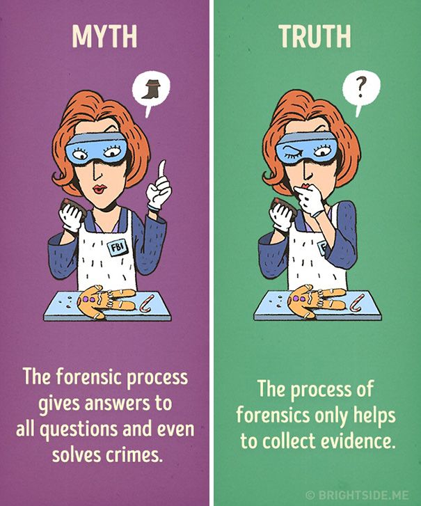 Hollywood's Most Common Movie Myths Debunked (12 pics)