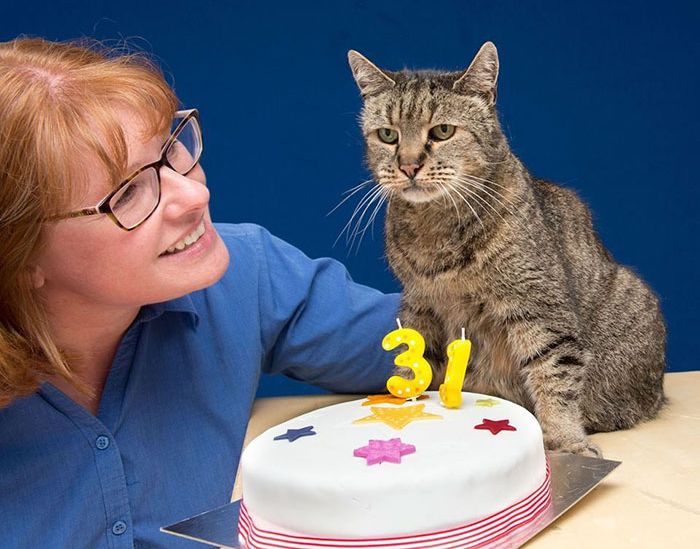 The World’s Oldest Cat Is 31 Years Young (7 pics)