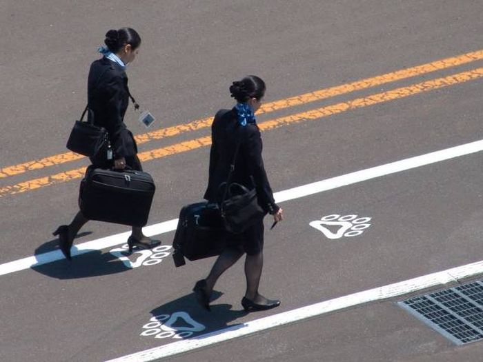 Flight Attendants Reveal Awesome Travel Hacks (11 pics)