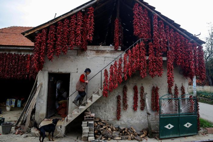 Interesting Pictures From The Serbian Paprika Capital Of The World (16 pics)