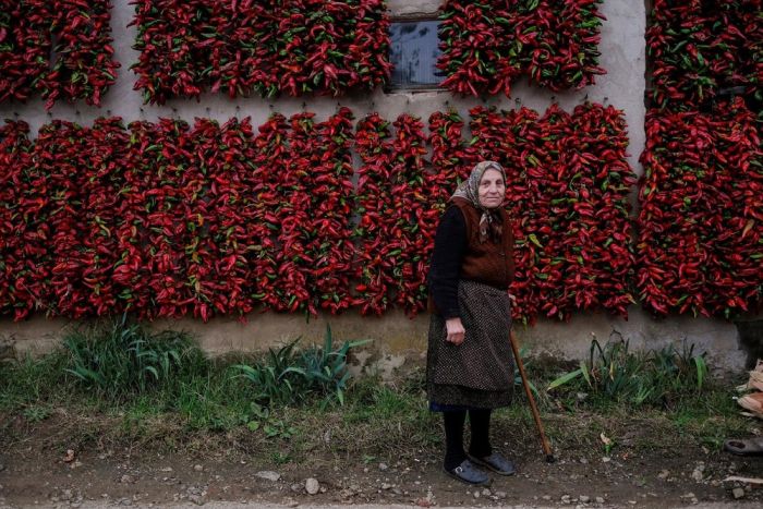 Interesting Pictures From The Serbian Paprika Capital Of The World (16 pics)