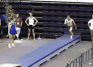 Acid Gifdump, October 11, 2016 (25 gifs)