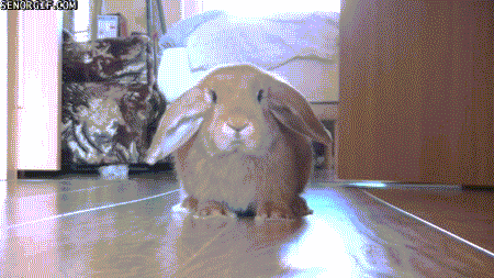 Acid Gifdump, October 11, 2016 (25 gifs)