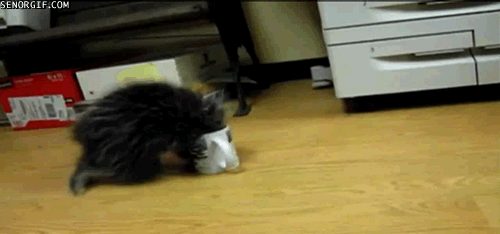 Acid Gifdump, October 11, 2016 (25 gifs)