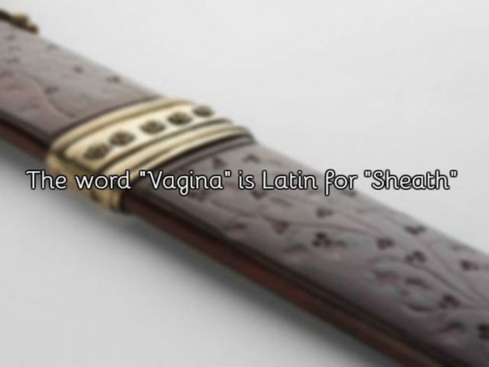 A Few Facts About The Vagina That You Probably Didn't Know (21 pics)