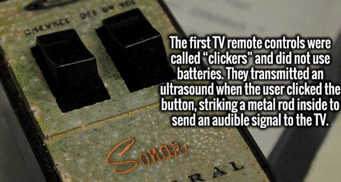 Fresh Facts To Make Your Day Awesome (20 pics)