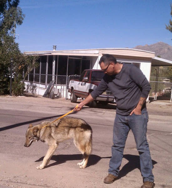 This Guy Thought He Got A Puppy, But That Wasn't The Case (9 pics) This Guy Thought He Got A Puppy, But That Wasn't The Case (9 pics)