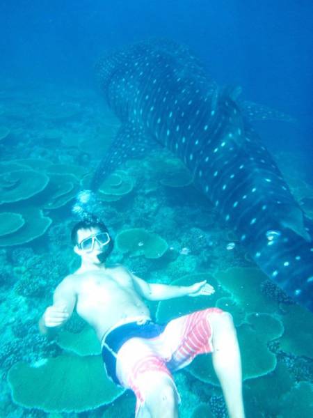 Acid Picdump (91 pics)