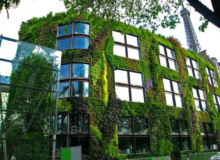 A New Law In Paris Allows Anyone To Plant Urban Gardens (6 pics)