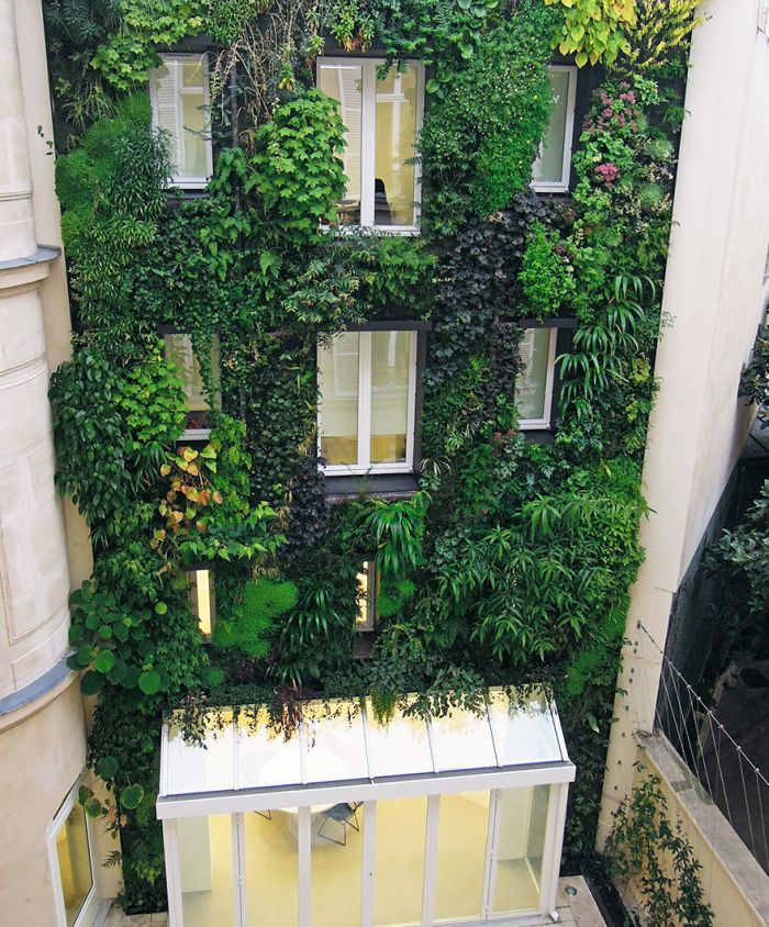 A New Law In Paris Allows Anyone To Plant Urban Gardens (6 pics)