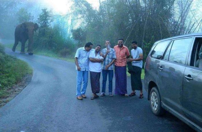 Acid Picdump (115 pics)