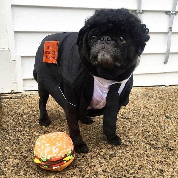 Acid Picdump (115 pics)
