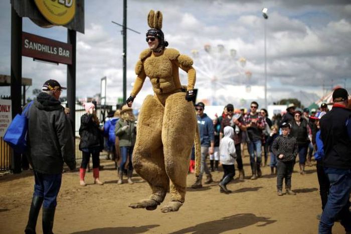 Acid Picdump (115 pics)