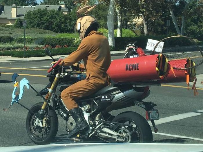 Acid Picdump (115 pics)