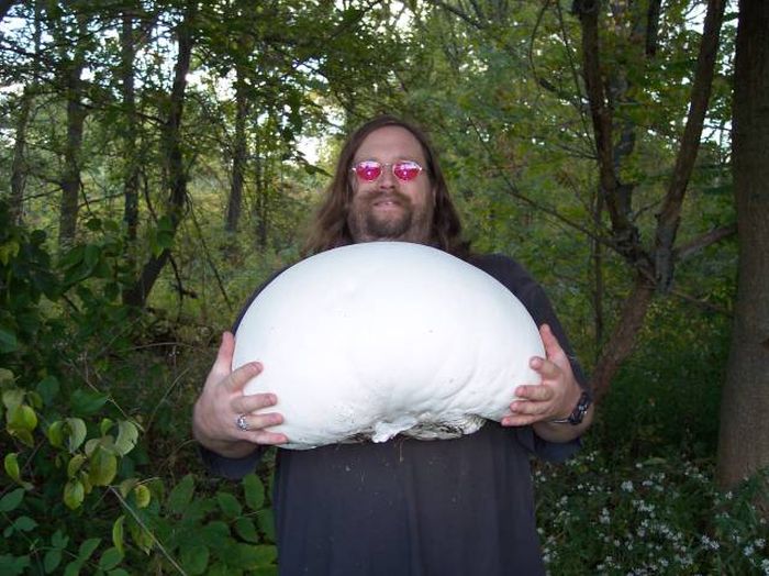 Acid Picdump (115 pics)