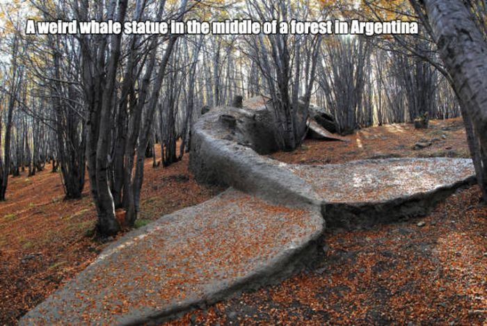 Acid Picdump (115 pics)