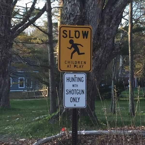 Acid Picdump (115 pics)