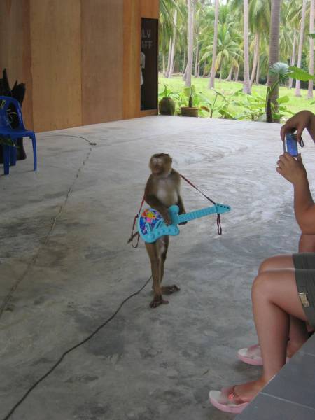 Acid Picdump (115 pics)
