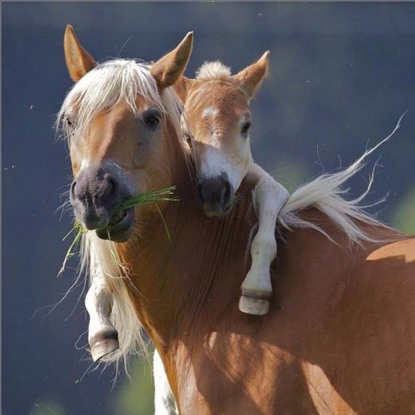 Acid Picdump (115 pics)