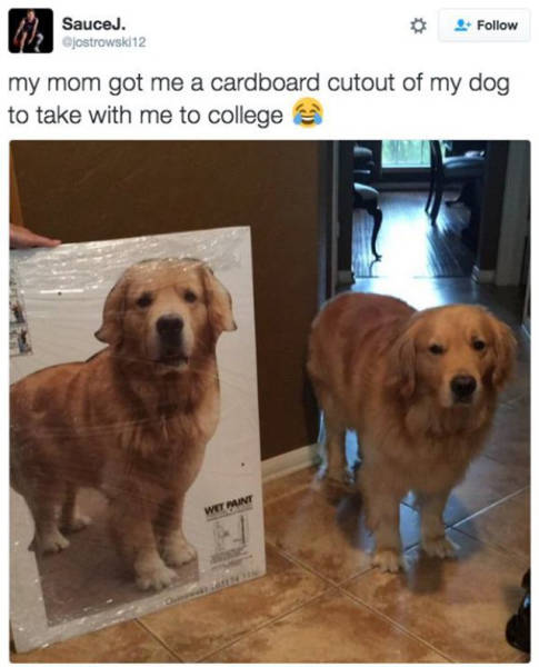 Just A Few Legit Reasons Why College Life Is So Sweet (56 pics)