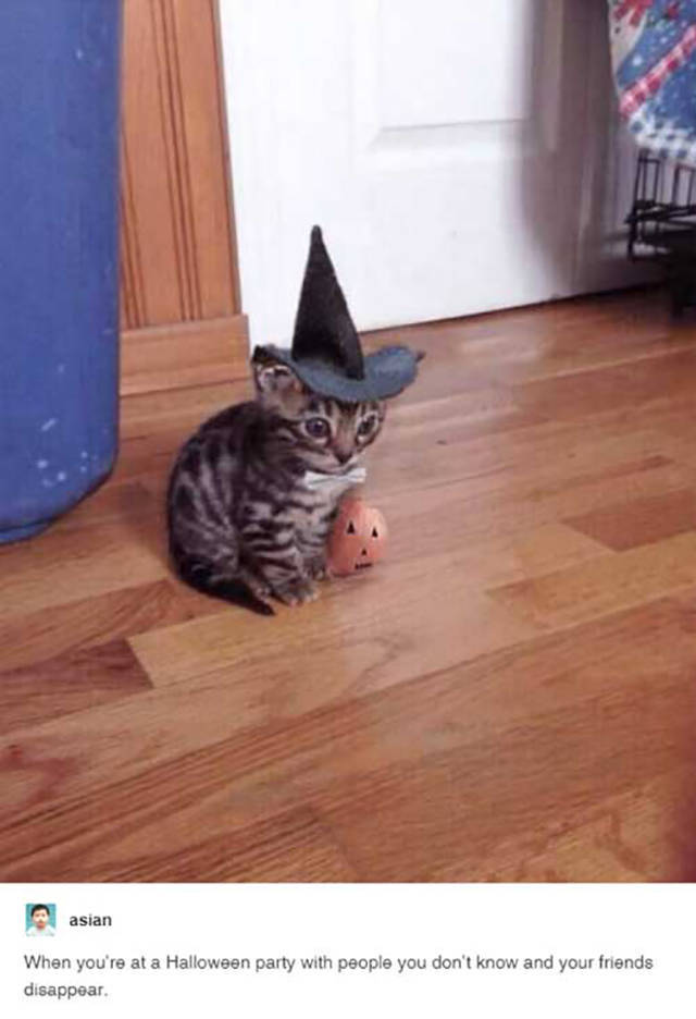 Posts That Prove Tumblr Is In Love With Halloween (23 pics)